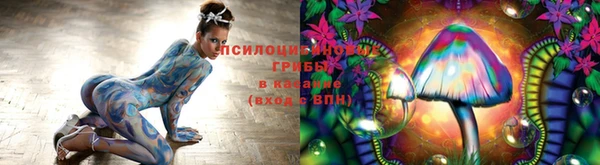 скорость Аркадак