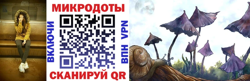Галлюциногенные грибы GOLDEN TEACHER Снежинск